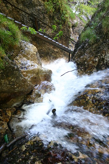 img00076.jpg