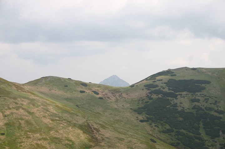 img00145.jpg