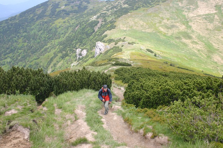 img00146.jpg