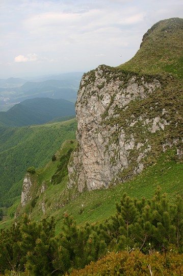 img00147.jpg