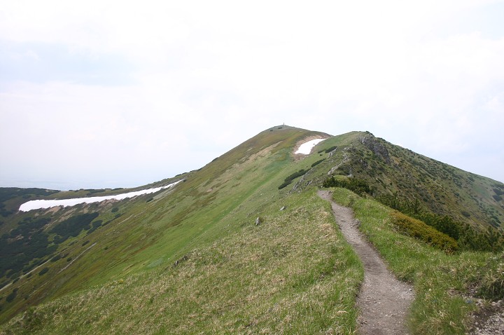 img00148.jpg