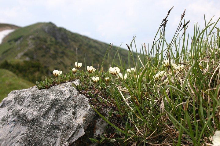 img00149.jpg