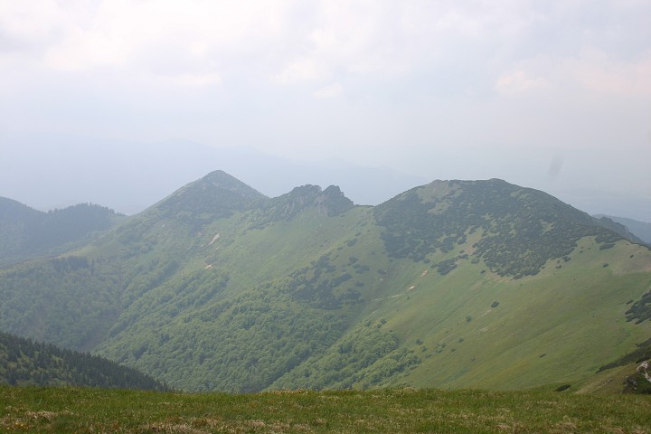 img00150.jpg