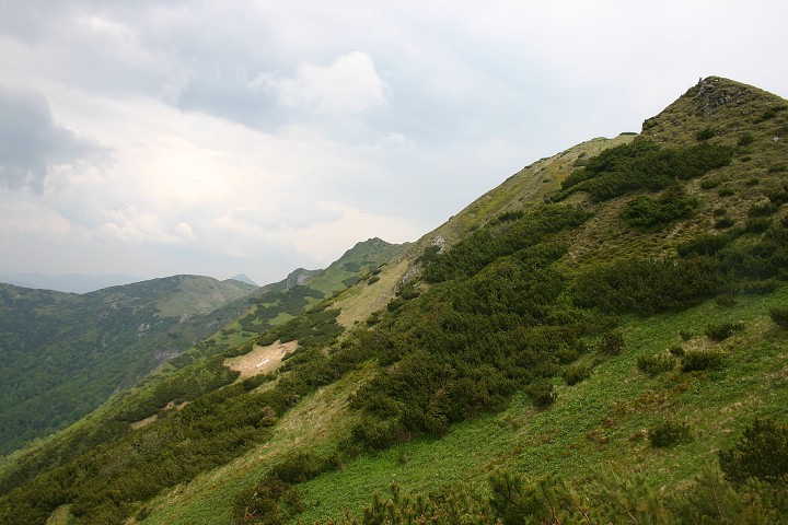img00151.jpg