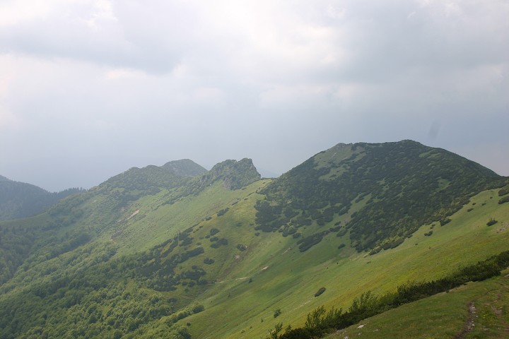 img00152.jpg