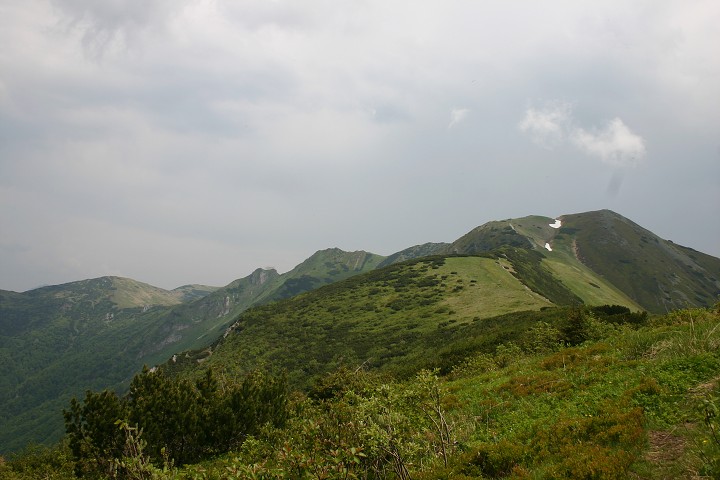 img00153.jpg