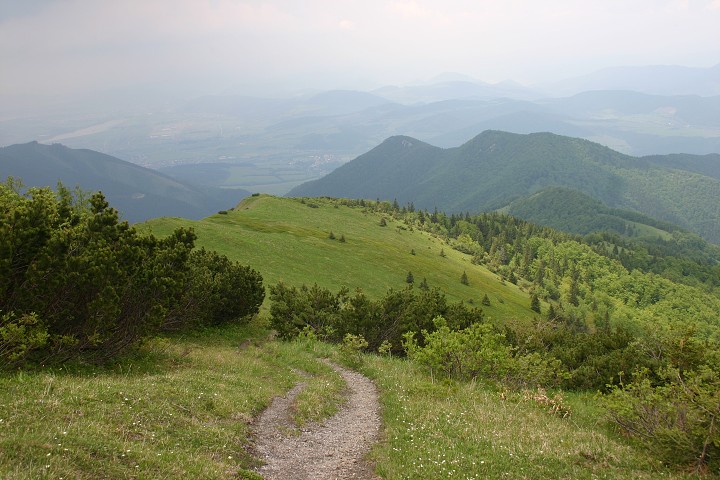 img00154.jpg