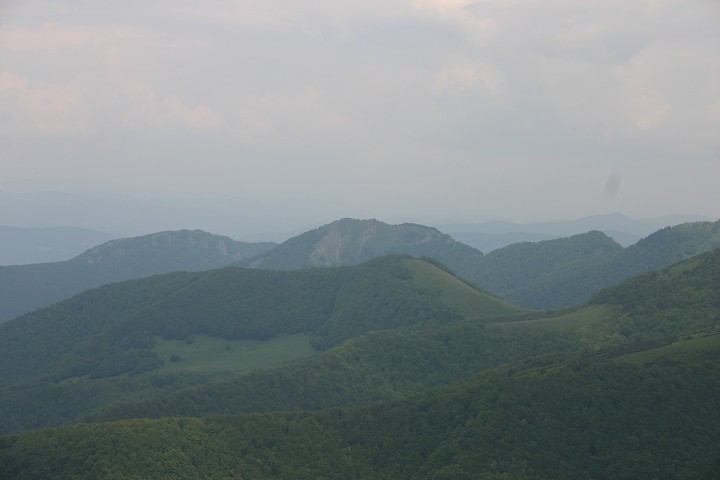 img00155.jpg