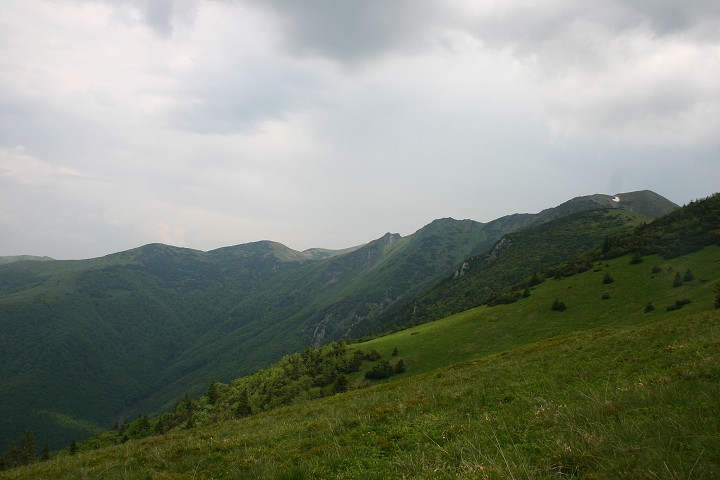 img00156.jpg
