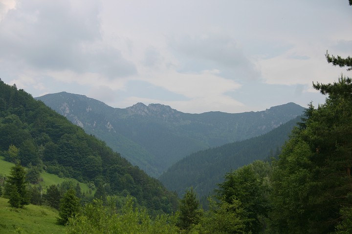 img00158.jpg