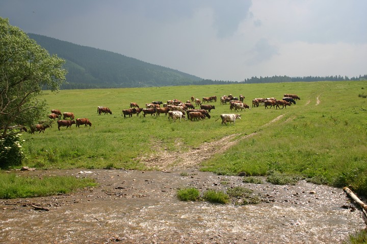 img00160.jpg