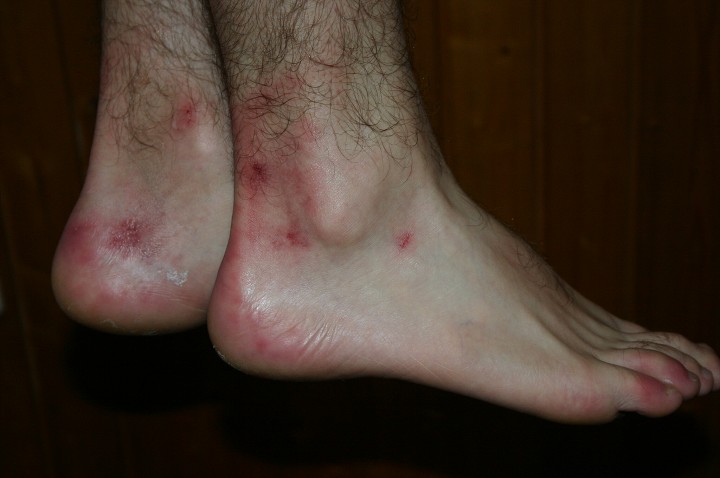 img00161.jpg