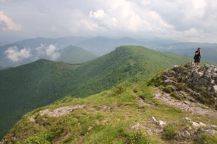 img00164.jpg
