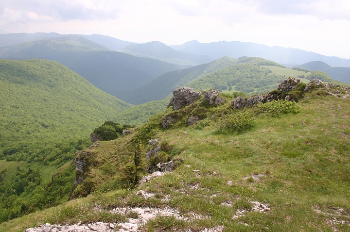 img00165.jpg
