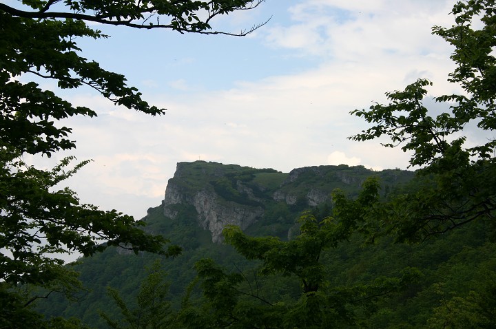 img00167.jpg