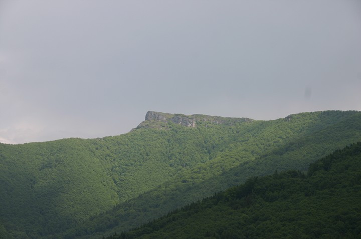 img00168.jpg