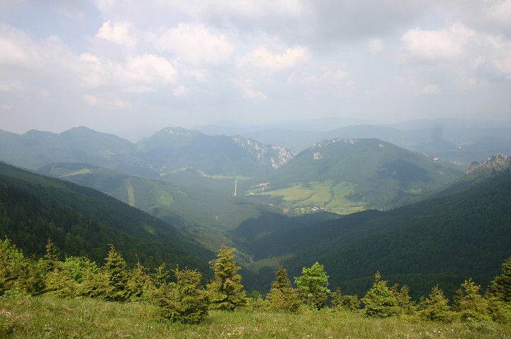 img00184.jpg