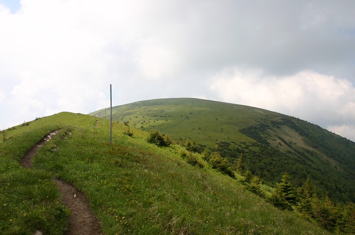 img00185.jpg