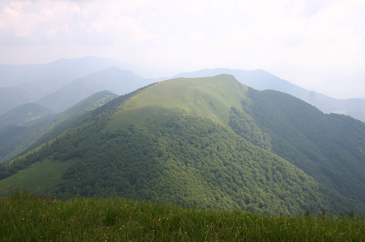 img00187.jpg