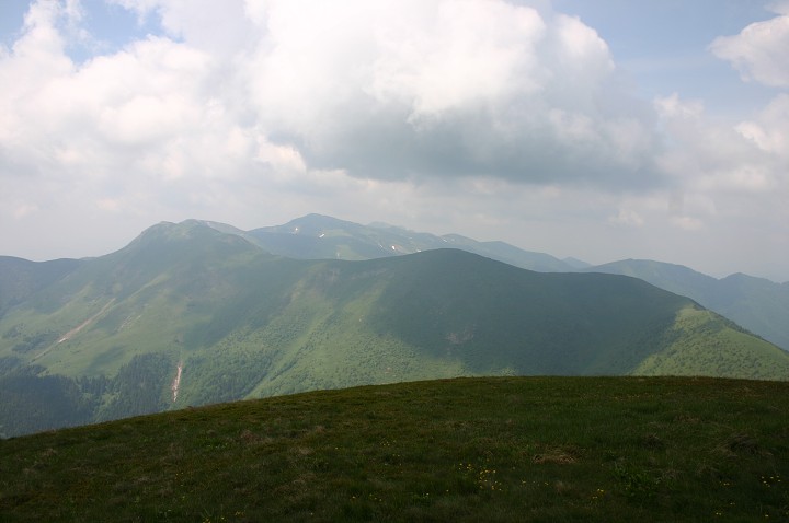 img00188.jpg