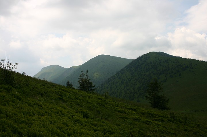 img00191.jpg