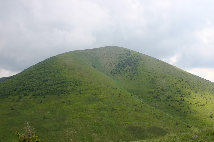 img00194.jpg