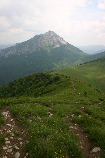 img00196.jpg