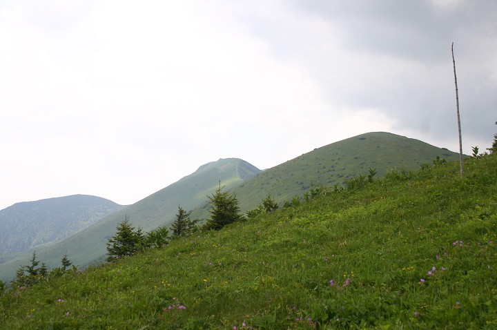 img00197.jpg