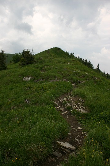 img00198.jpg