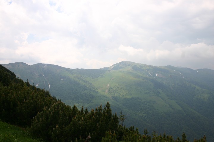 img00201.jpg