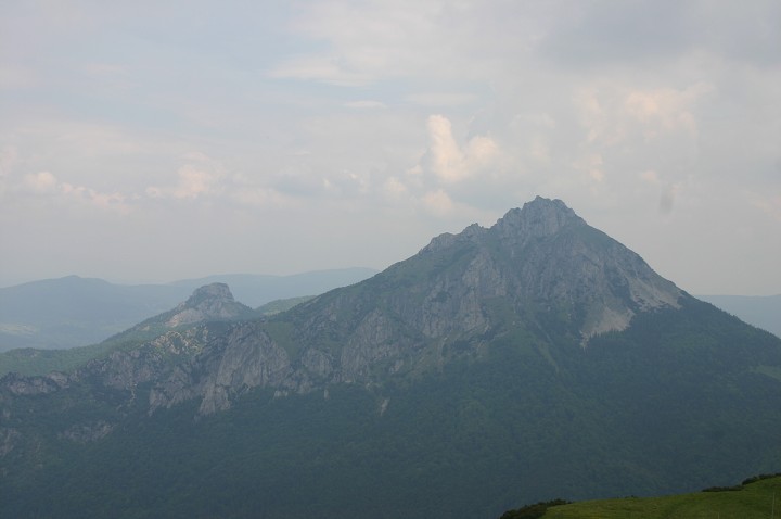 img00203.jpg