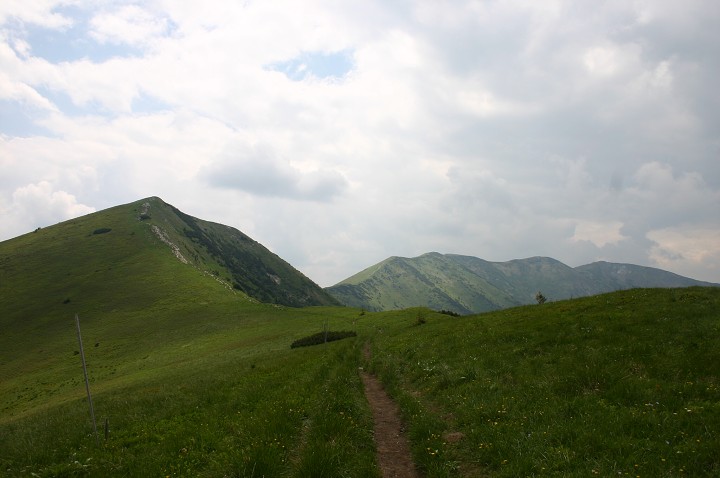 img00206.jpg