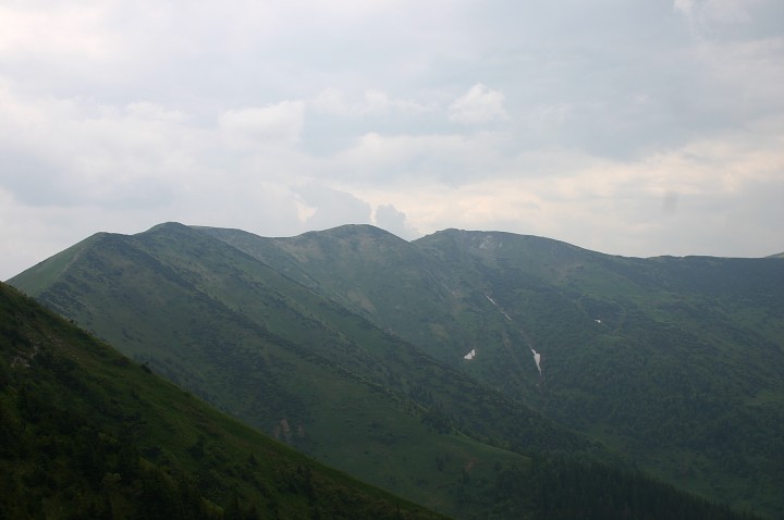 img00207.jpg