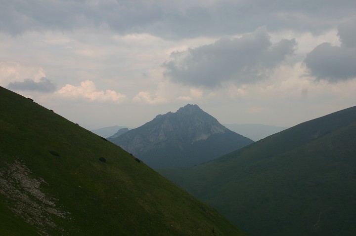 img00208.jpg