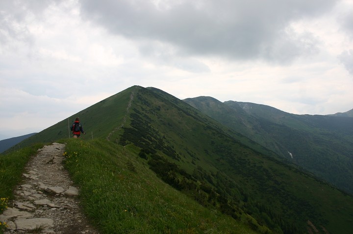 img00209.jpg