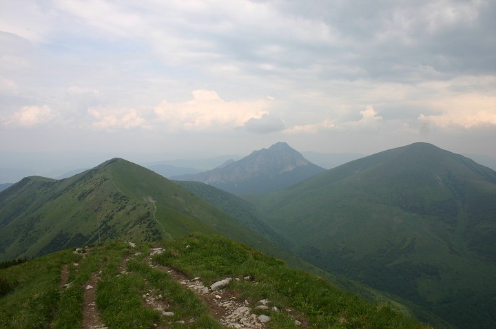 img00210.jpg