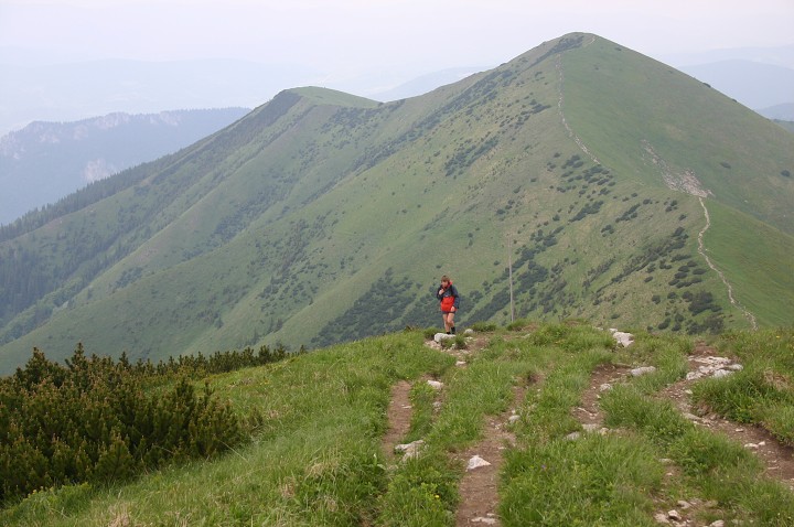 img00211.jpg