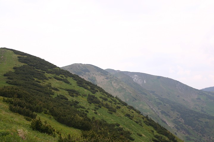 img00212.jpg