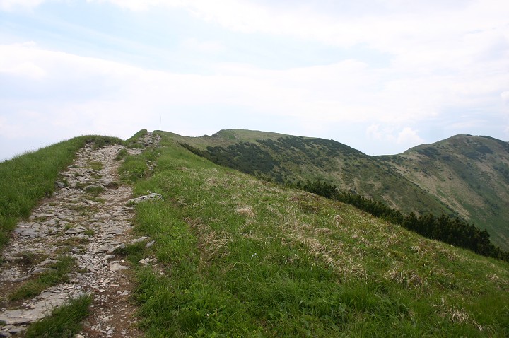 img00215.jpg