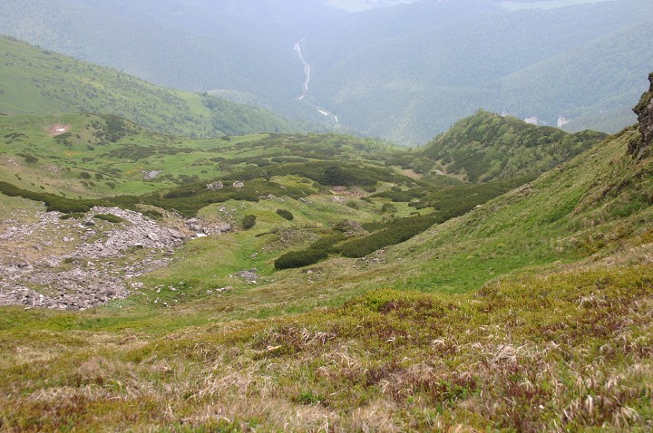 img00219.jpg