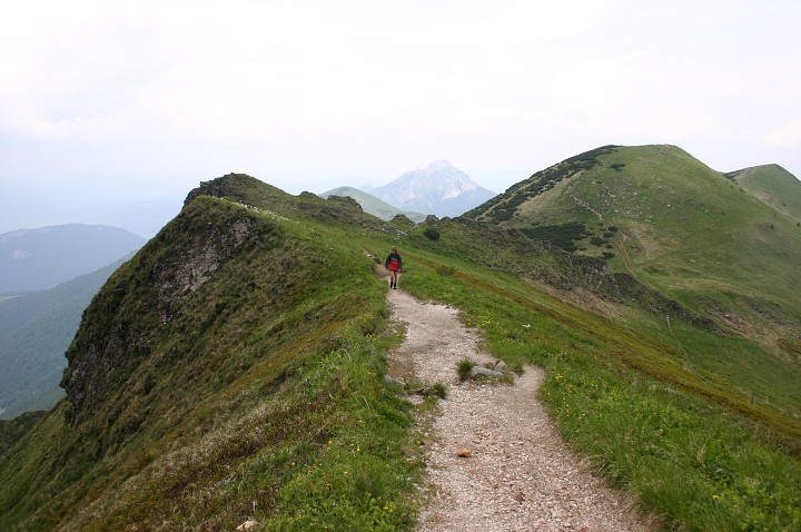 img00220.jpg