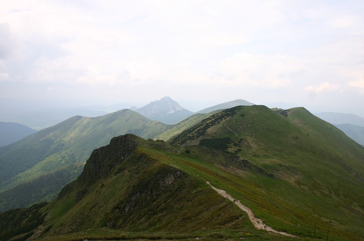 img00223.jpg