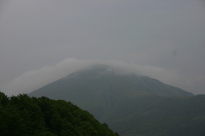 img00226.jpg