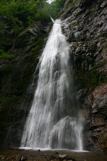 img00227.jpg