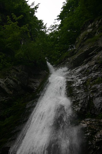 img00228.jpg