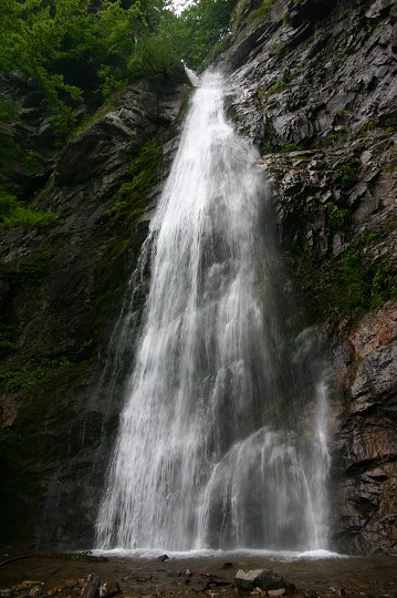 img00229.jpg