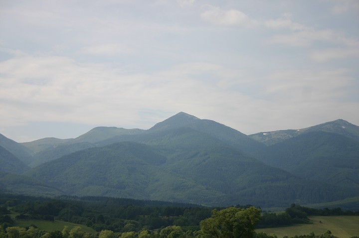 img00231.jpg
