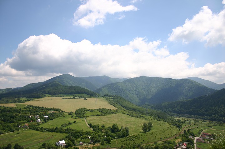 img00234.jpg