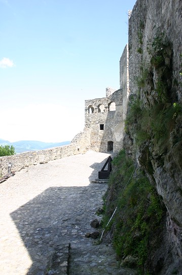 img00248.jpg