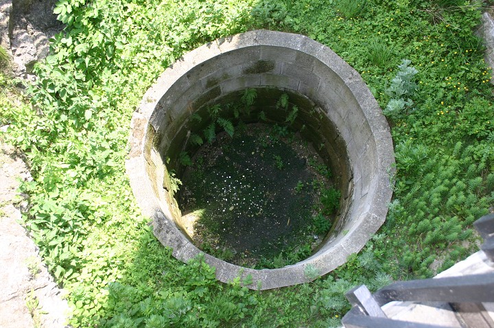 img00251.jpg